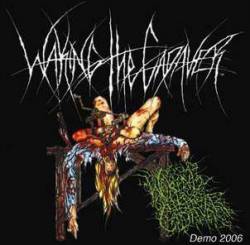 Waking The Cadaver : Demo 2006